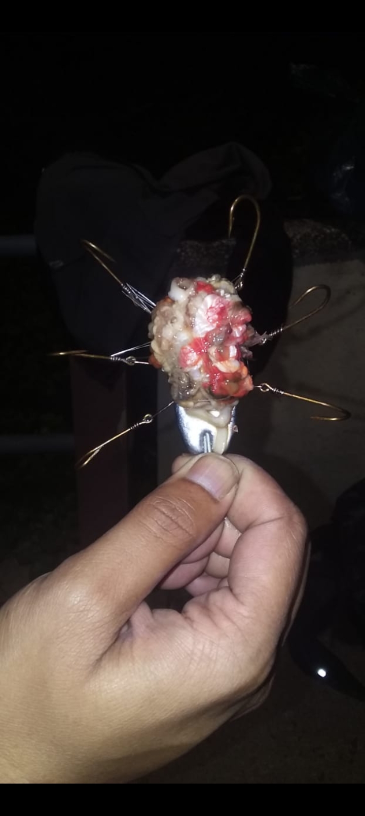 Crayfish Season KZN 2026: Regulations, Gear and Tips for Success